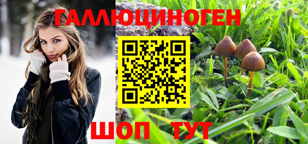 Псилоцибиновые грибы MAGIC MUSHROOMS  Галлюциногенные грибы Magic Shrooms  Жуковский  Вход с VPN 